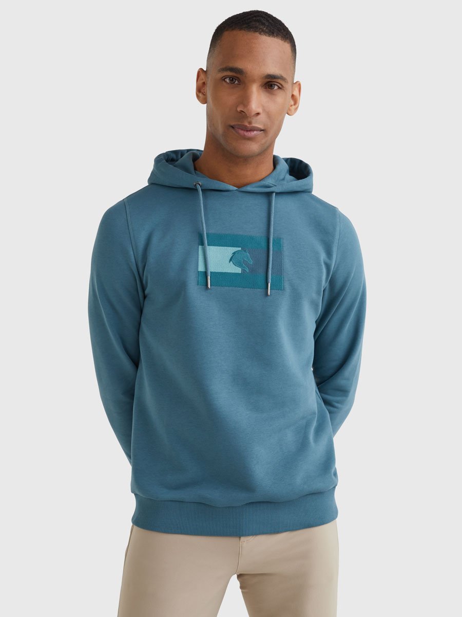 Tommy hilfiger sport pullover online