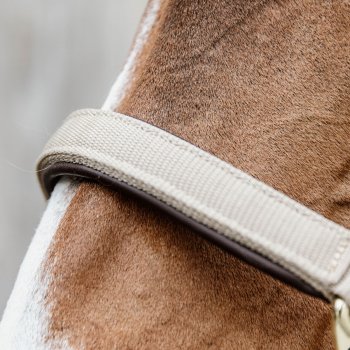 Kentucky Horsewear anatomisches Nylon Halfter beige