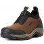 Ariat Damen Schuhe TERRAIN EASE H²O oily distressed brown