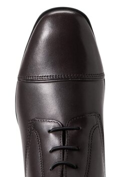 Ariat Damen Reitstiefel PALISADE cocoa brown 37 FS