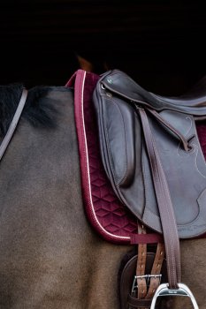 Kentucky Horsewear Schabracke VELVET bordeaux