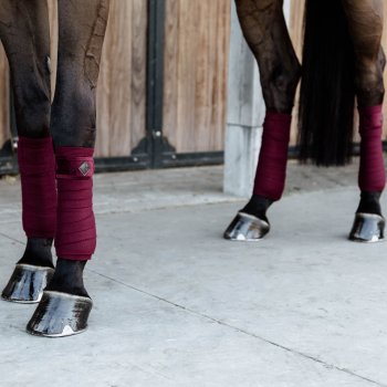 Kentucky Horsewear Fleecebandagen SAMT bordeaux