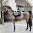 Kentucky Horsewear Schabracke BASIC VELVET COB schwarz VS