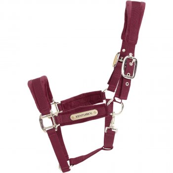 Kentucky Horsewear Halfter VELVET bordeaux