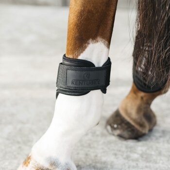 Kentucky Horsewear Streichkappe YOUNG HORSE, schwarz