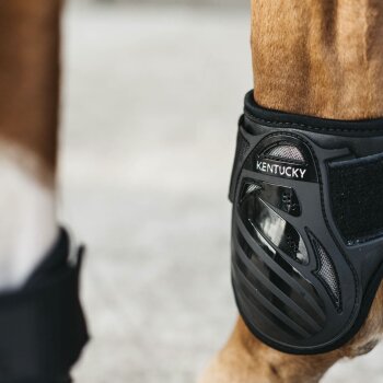 Kentucky Horsewear Streichkappe YOUNG HORSE, schwarz