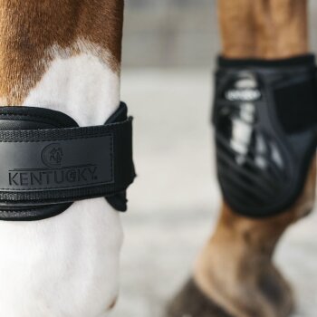 Kentucky Horsewear Streichkappe YOUNG HORSE, schwarz