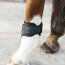Kentucky Horsewear Streichkappe YOUNG HORSE, schwarz
