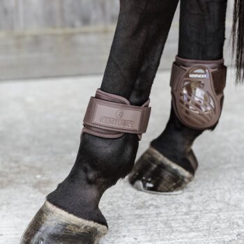 Kentucky Horsewear Streichkappe YOUNG HORSE, braun