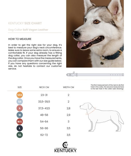 Kentucky Dogwear veganes Leder-Hundehalsband, marineblau