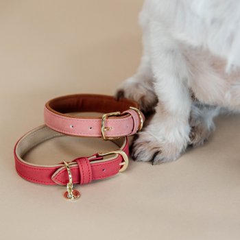 Kentucky Dogwear veganes Leder-Hundehalsband, rot