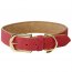 Kentucky Dogwear veganes Leder-Hundehalsband, rot