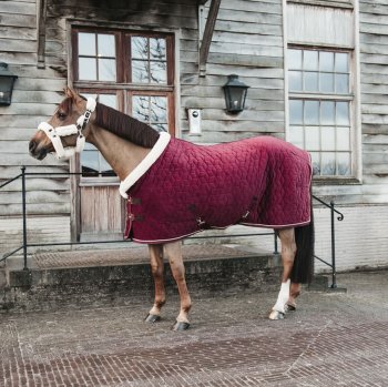 Kentucky Horsewear Turnierdecke VELVET 160g, bordeaux