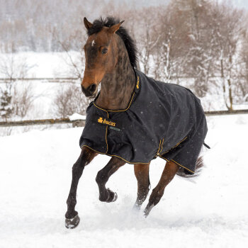 Bucas Weidedecke IRISH TURNOUT Light 50g, black-gold 165