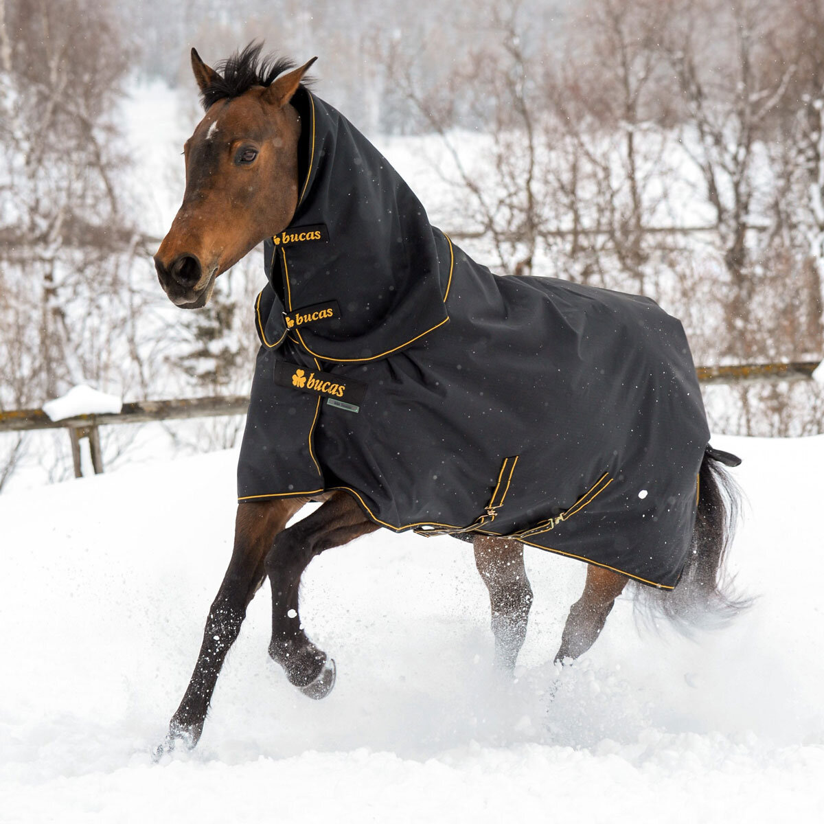 Bucas Halsteil IRISH COMBI NECK, blackgold