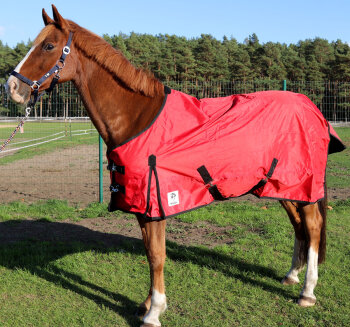 Manski Stall- & Transportdecke ungefüttert - red