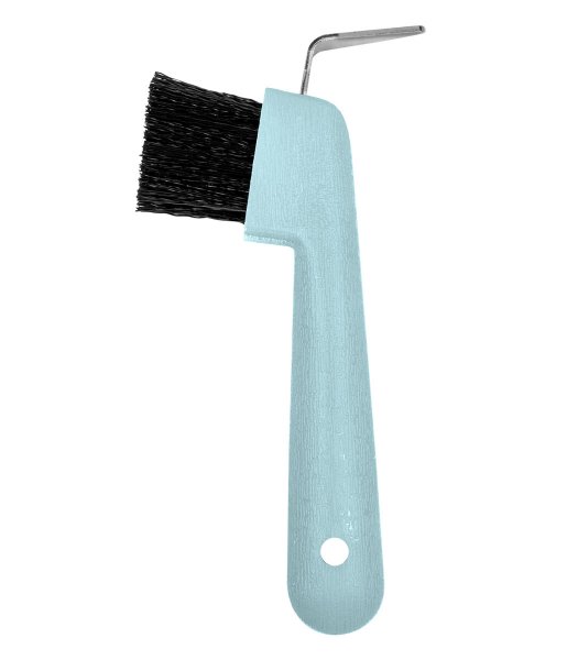 Waldhausen Hoof-Pick-Brush, turquoise