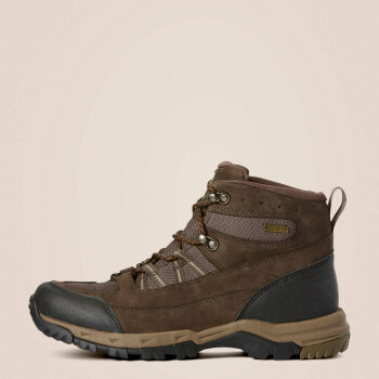 Ariat Herren Schuhe SKYLINE SUMMIT Gore-Tex, dark olive