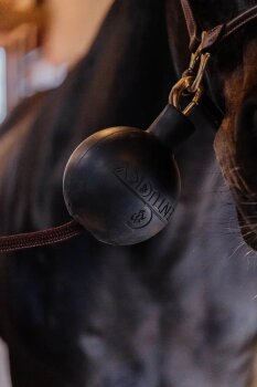 Kentucky Horsewear Strick & Wandschutz Ball schwarz