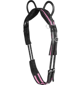 Waldhausen Longiergurt mit zwei Handgriffen, schwarz/rosarot Pony
