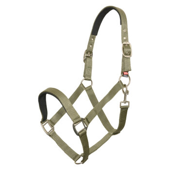 Imperial Riding Halfter IRH Classic Sport olive green