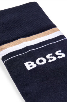 Boss Equestrian CLASSIC SOMMER REITSOCKEN sky captain