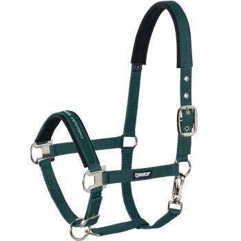 Eskadron Halfter PIN BUCKLE Basics, racinggreen