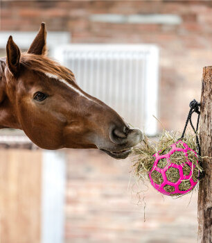 Waldhausen Heuball pink