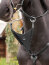 Le Mieux Martingalgabel, black/silver