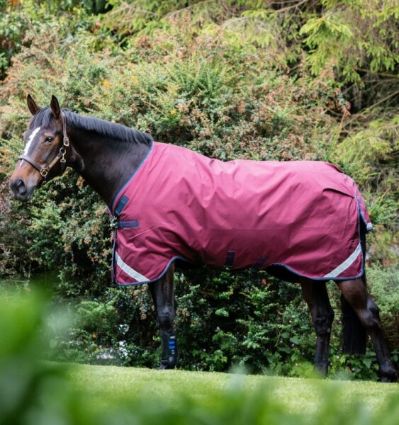 Horseware Weidedecke RAMBO Original Turnout Lite 0g, LA, burgundy/burgundy/teal/navy 140