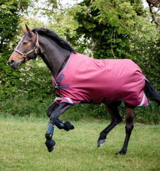 Horseware Weidedecke RAMBO Original Turnout Lite 0g, LA, burgundy/burgundy/teal/navy 140