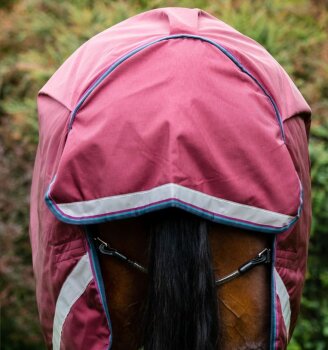 Horseware Weidedecke RAMBO Original Turnout Lite 0g, LA, burgundy/burgundy/teal/navy 140