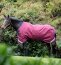 Horseware Weidedecke RAMBO Original Turnout Lite 0g, LA, burgundy/burgundy/teal/navy 140