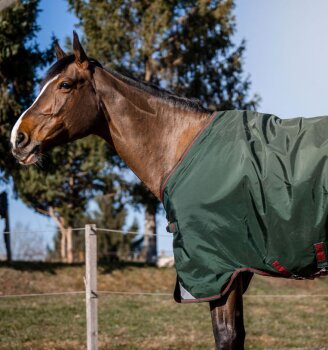 Horseware Weidedecke RAMBO Original Turnout 100g, LA, green/red