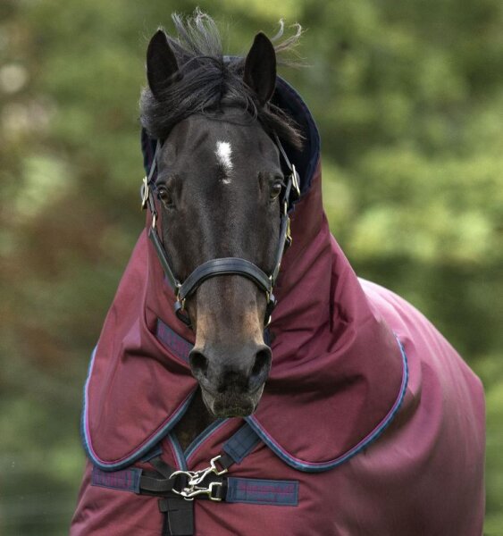 Horseware Halsteil für Weidedecke RAMBO Original Lite 0g, burgundy/burgundy/teal/navy