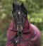 Horseware Halsteil für Weidedecke RAMBO Original Lite 0g, burgundy/burgundy/teal/navy