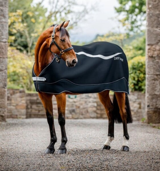 Horseware Abschwitzdecke DRY LINER 50g, navy/silver