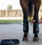 Horseware Gamaschen ICE-VIBE, black/aqua