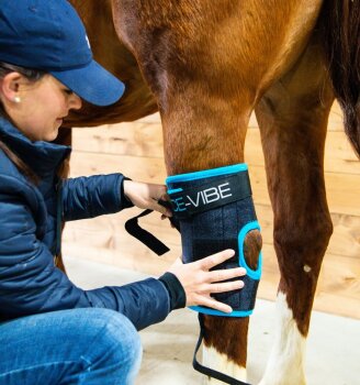 Horseware Sprunggelenksgamaschen ICE-VIBE, black/aqua Full