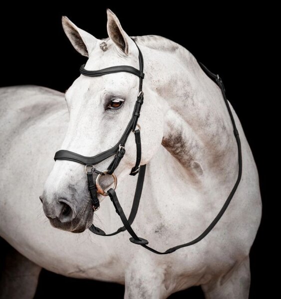 Horseware Micklem 2 Competition Bridle, black