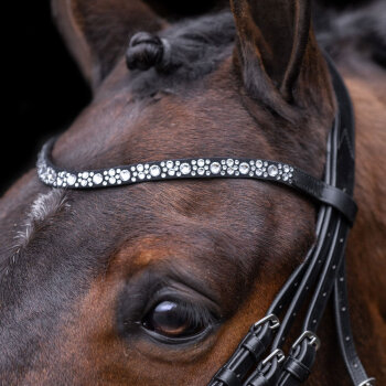 Imperial Riding Trensenzaum IRH OLYMPIA black/silver