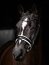 Le Mieux Kudos Trense Patent Dressage Bridle, black/white