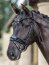 Le Mieux Kudos Trense Patent Dressage Bridle, black/black