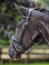 Le Mieux Kudos Trense Patent Dressage Bridle, black/black