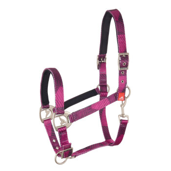 euro-star Halfter ES LOREN dark purple
