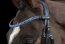 Schockemöhle Sports Stirnband MALAGA black/light blue