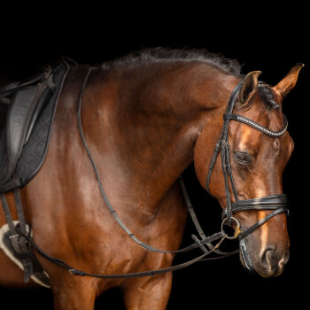 Imperial Riding Leder-Ausbindezügel IRH CORE black