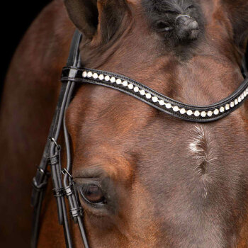 Imperial Riding Trense IRH ATHENA black