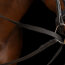 Imperial Riding Schlaufzügel SH IRH CORE black