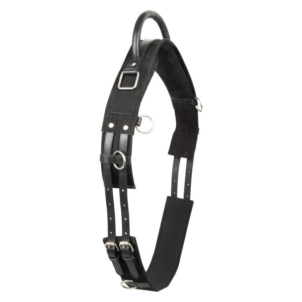Imperial Riding Longiergurt IRH VITO black